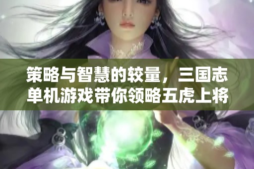 策略与智慧的较量，三国志单机游戏带你领略五虎上将的荣耀