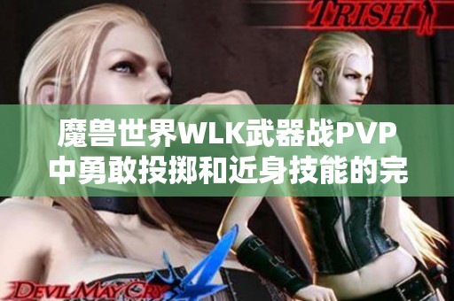 魔兽世界WLK武器战PVP中勇敢投掷和近身技能的完美宏命令解析