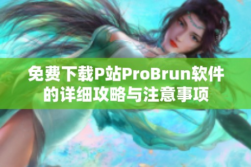 免费下载P站ProBrun软件的详细攻略与注意事项