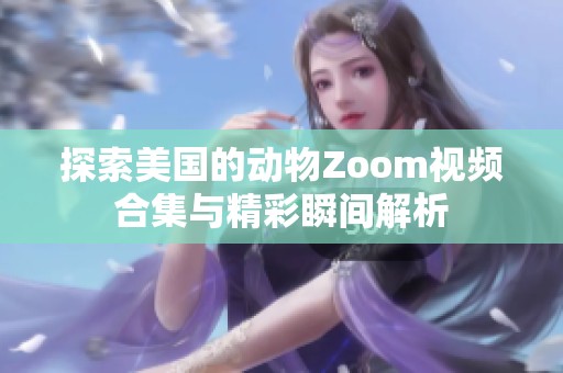 探索美国的动物Zoom视频合集与精彩瞬间解析