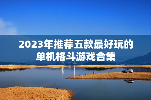 2023年推荐五款最好玩的单机格斗游戏合集