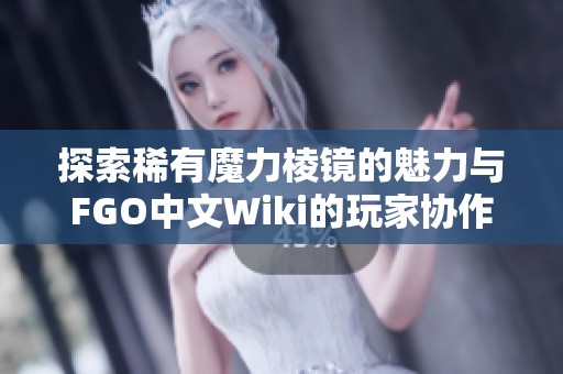 探索稀有魔力棱镜的魅力与FGO中文Wiki的玩家协作历程