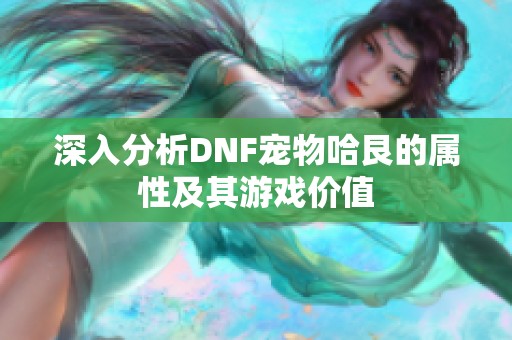 深入分析DNF宠物哈艮的属性及其游戏价值