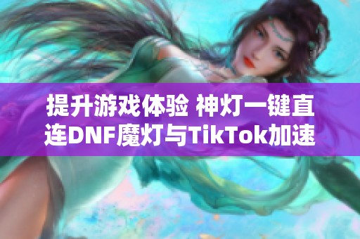 提升游戏体验 神灯一键直连DNF魔灯与TikTok加速器全解析