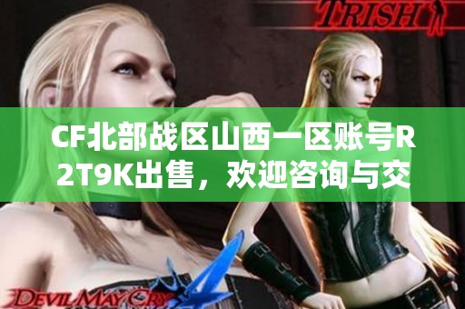 CF北部战区山西一区账号R2T9K出售，欢迎咨询与交易！