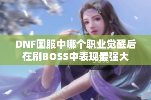 DNF国服中哪个职业觉醒后在刷BOSS中表现最强大