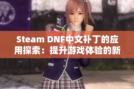 Steam DNF中文补丁的应用探索：提升游戏体验的新途径