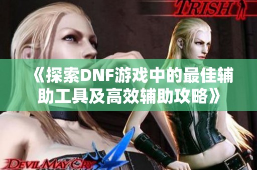 《探索DNF游戏中的最佳辅助工具及高效辅助攻略》