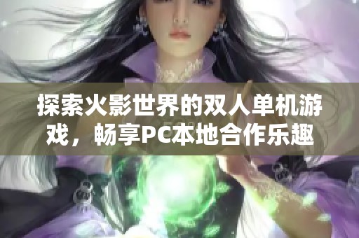 探索火影世界的双人单机游戏，畅享PC本地合作乐趣