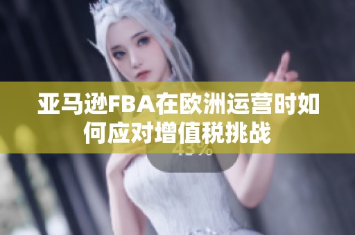 亚马逊FBA在欧洲运营时如何应对增值税挑战