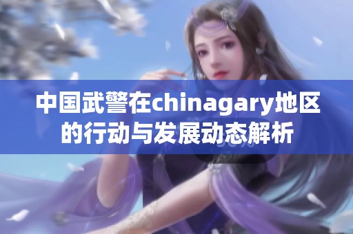 中国武警在chinagary地区的行动与发展动态解析