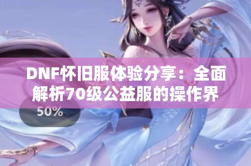 DNF怀旧服体验分享：全面解析70级公益服的操作界面