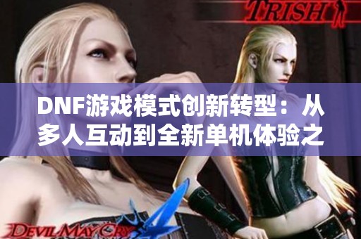 DNF游戏模式创新转型：从多人互动到全新单机体验之路