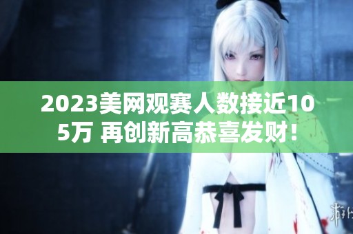 2023美网观赛人数接近105万 再创新高恭喜发财！