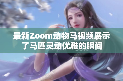 最新Zoom动物马视频展示了马匹灵动优雅的瞬间