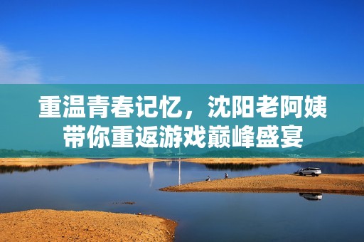 重温青春记忆，沈阳老阿姨带你重返游戏巅峰盛宴