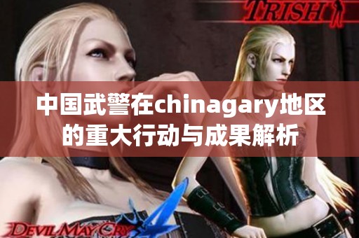 中国武警在chinagary地区的重大行动与成果解析