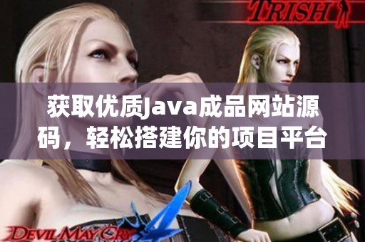 获取优质Java成品网站源码，轻松搭建你的项目平台