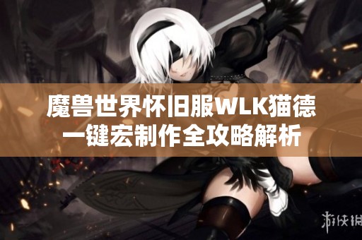 魔兽世界怀旧服WLK猫德一键宏制作全攻略解析