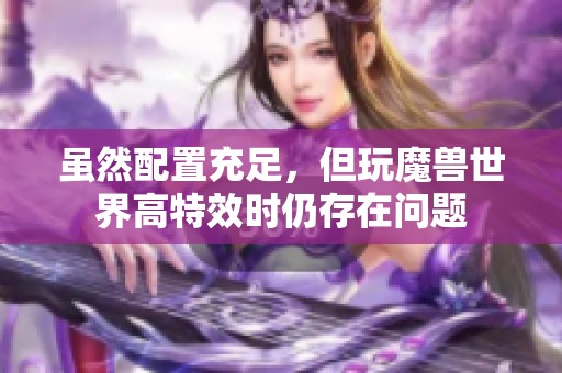 虽然配置充足，但玩魔兽世界高特效时仍存在问题