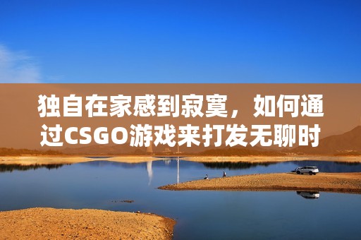 独自在家感到寂寞，如何通过CSGO游戏来打发无聊时光