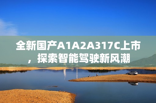 全新国产A1A2A317C上市，探索智能驾驶新风潮