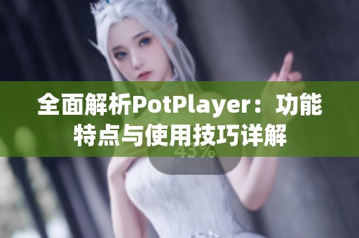 全面解析PotPlayer：功能特点与使用技巧详解