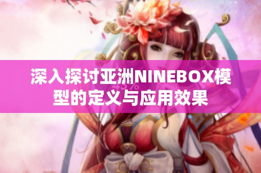 深入探讨亚洲NINEBOX模型的定义与应用效果