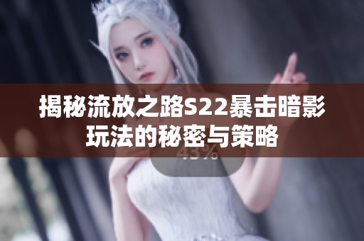 揭秘流放之路S22暴击暗影玩法的秘密与策略