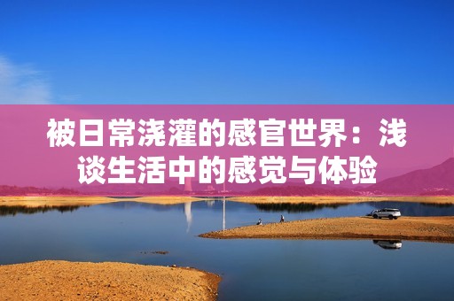 被日常浇灌的感官世界：浅谈生活中的感觉与体验