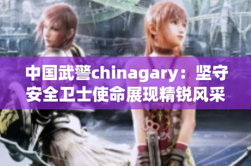 中国武警chinagary：坚守安全卫士使命展现精锐风采