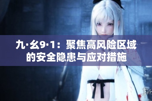 九·幺9·1：聚焦高风险区域的安全隐患与应对措施