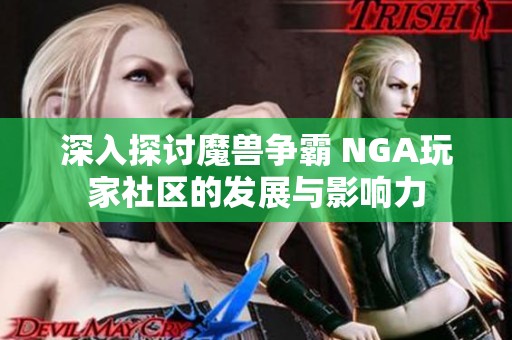 深入探讨魔兽争霸 NGA玩家社区的发展与影响力