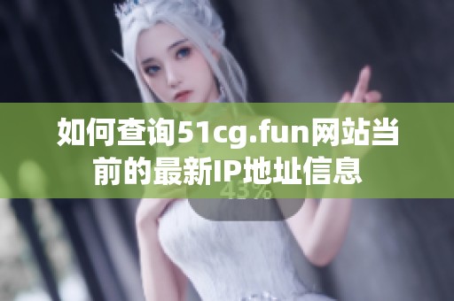 如何查询51cg.fun网站当前的最新IP地址信息