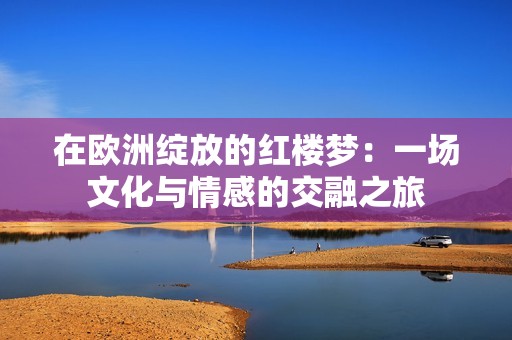 在欧洲绽放的红楼梦：一场文化与情感的交融之旅