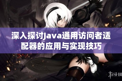 深入探讨Java通用访问者适配器的应用与实现技巧