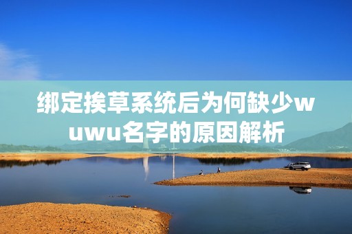 绑定挨草系统后为何缺少wuwu名字的原因解析