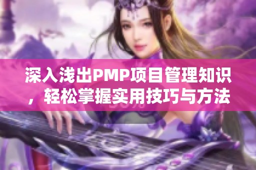 深入浅出PMP项目管理知识，轻松掌握实用技巧与方法