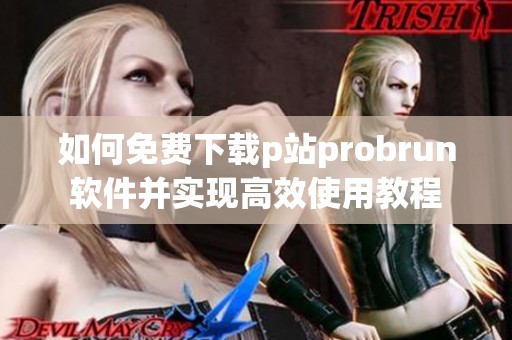 如何免费下载p站probrun软件并实现高效使用教程