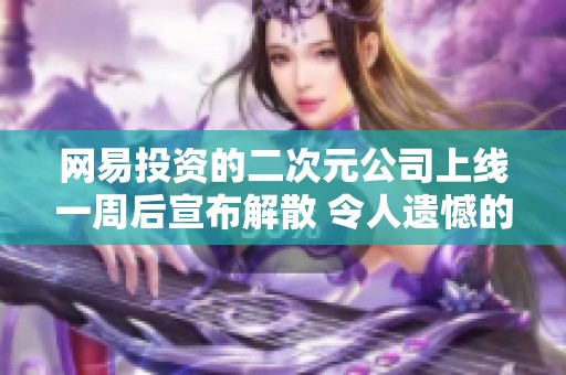 网易投资的二次元公司上线一周后宣布解散 令人遗憾的消息